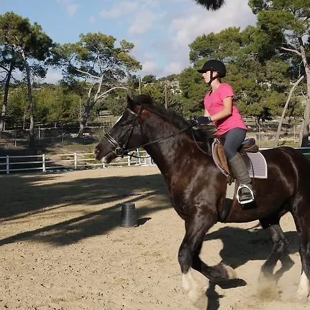 4 Bedroom Helidoni With Private Infinity Pool, Aphrodite Hills Willa